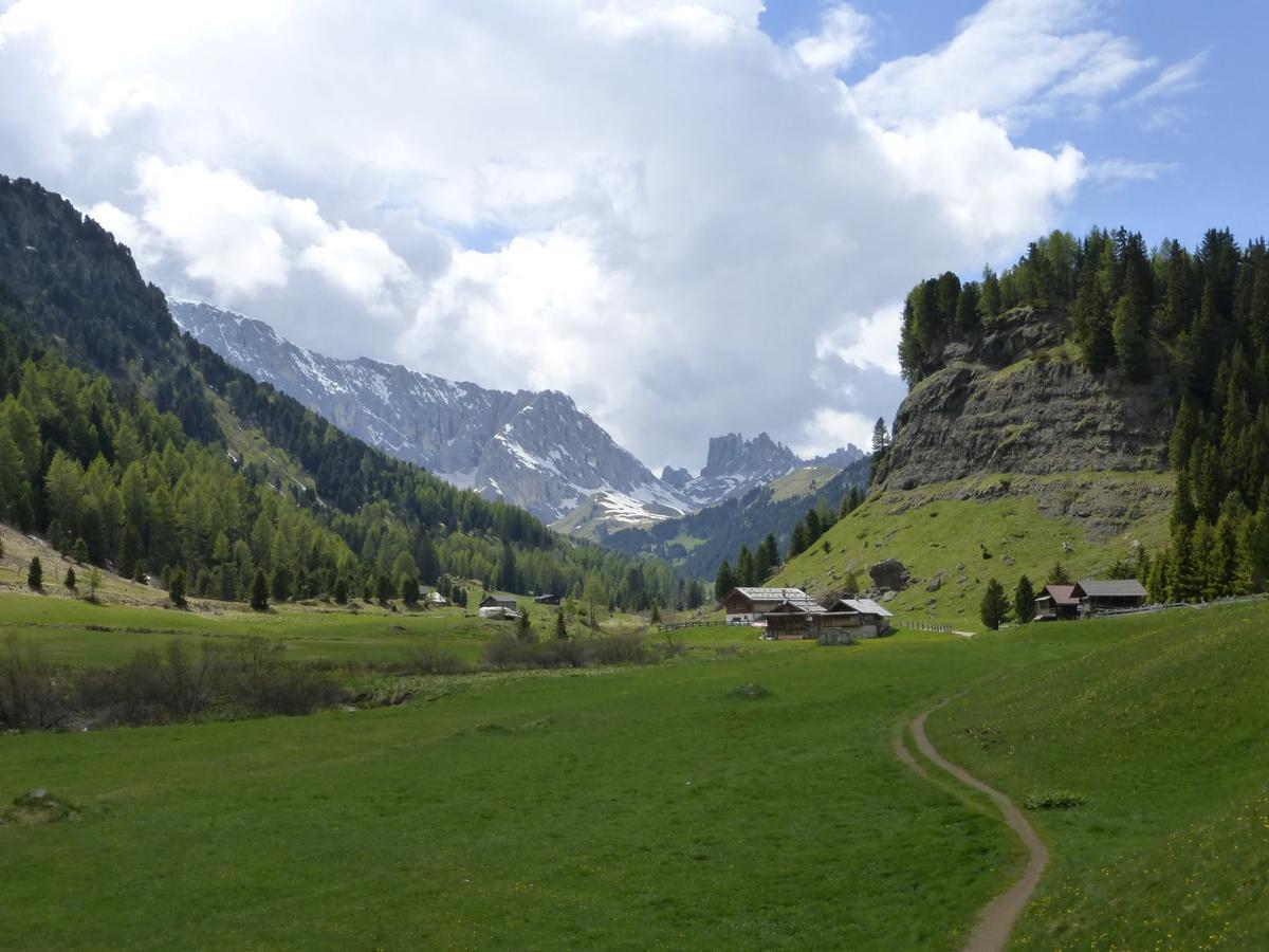 كامبيتيلو دي فاسا B&B Garni Villa Campitello المظهر الخارجي الصورة